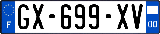 GX-699-XV