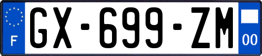GX-699-ZM
