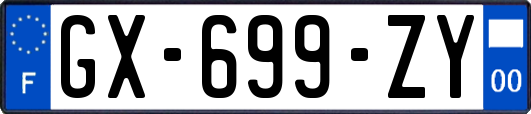GX-699-ZY