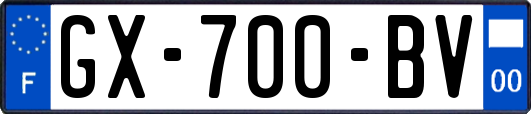 GX-700-BV