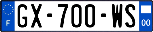 GX-700-WS