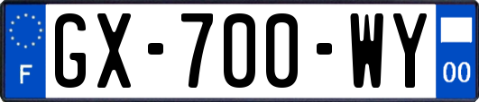 GX-700-WY