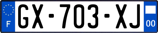 GX-703-XJ