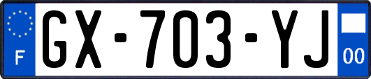GX-703-YJ