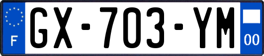 GX-703-YM