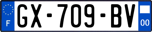 GX-709-BV