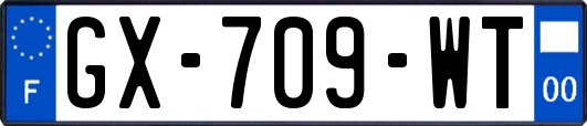 GX-709-WT
