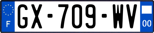 GX-709-WV