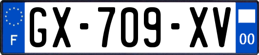 GX-709-XV