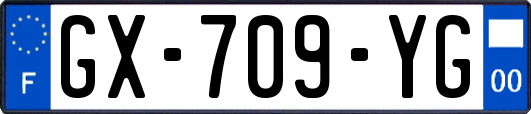 GX-709-YG
