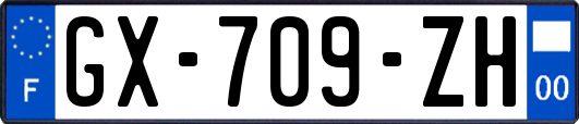GX-709-ZH