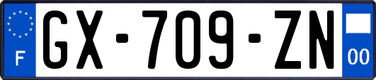 GX-709-ZN