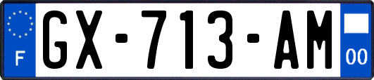 GX-713-AM