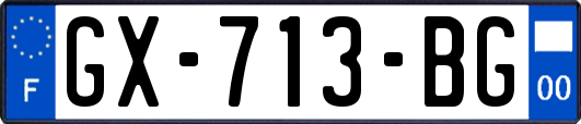 GX-713-BG