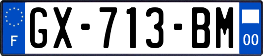 GX-713-BM