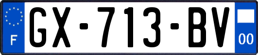 GX-713-BV
