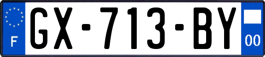 GX-713-BY