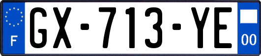 GX-713-YE