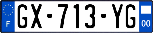 GX-713-YG