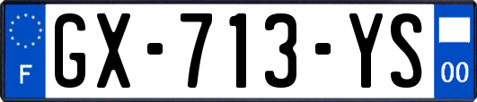 GX-713-YS