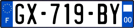 GX-719-BY