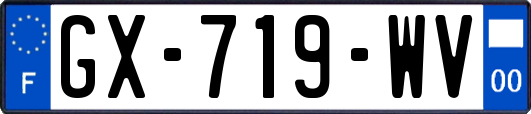 GX-719-WV