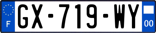 GX-719-WY