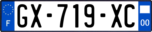 GX-719-XC