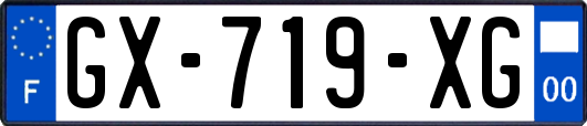 GX-719-XG