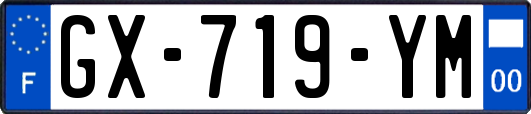 GX-719-YM