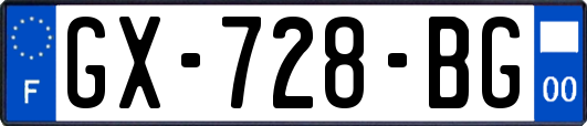 GX-728-BG