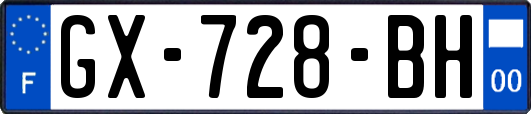 GX-728-BH