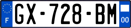 GX-728-BM
