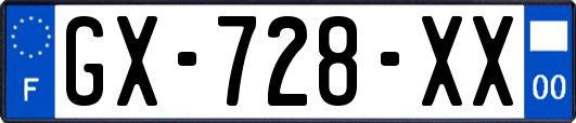 GX-728-XX