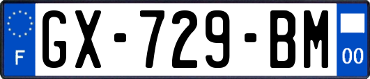 GX-729-BM