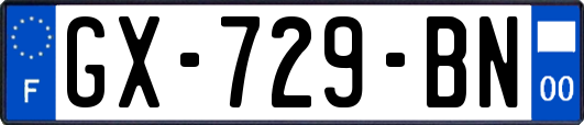 GX-729-BN