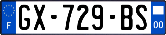 GX-729-BS