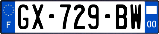 GX-729-BW