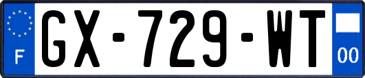 GX-729-WT