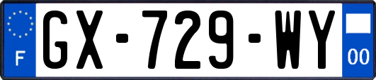 GX-729-WY