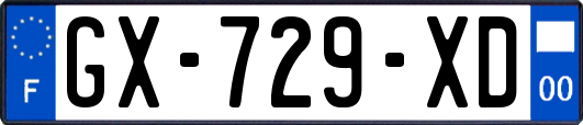 GX-729-XD