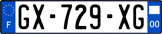 GX-729-XG