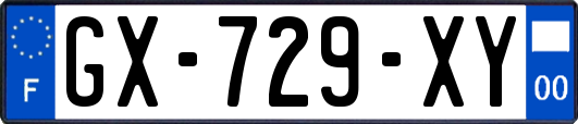 GX-729-XY