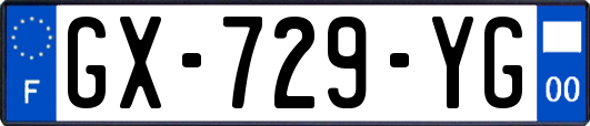 GX-729-YG