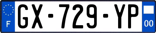 GX-729-YP