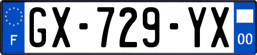 GX-729-YX