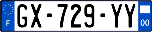GX-729-YY