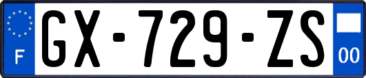 GX-729-ZS