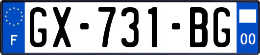 GX-731-BG