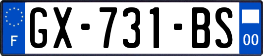 GX-731-BS